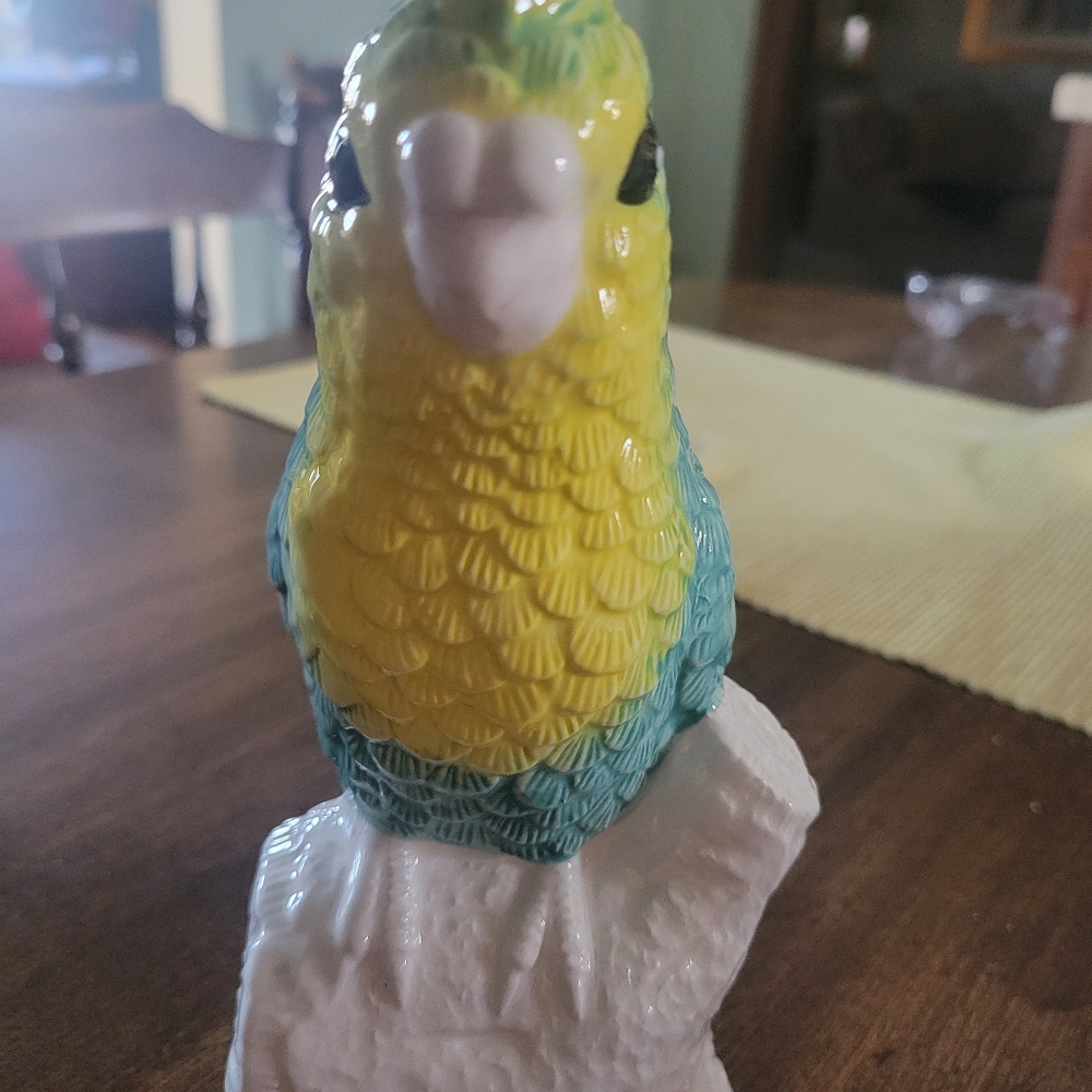 Ashland Yellow and Blue Budgie Bird